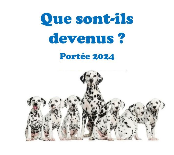 QUE SONT T'ILS DEVENU ? Portée 2024